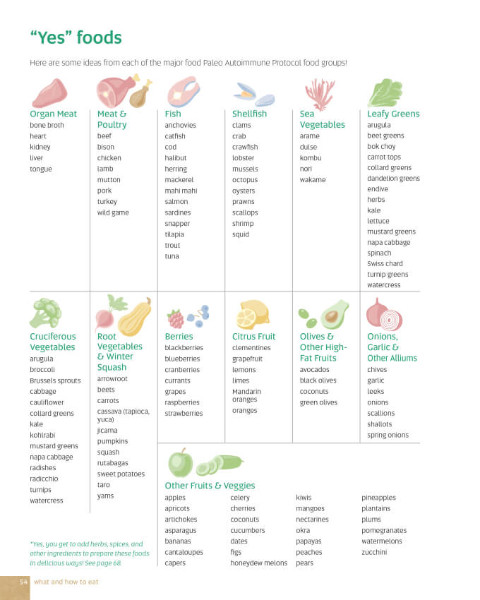 The Healing Kitchen "Yes" foods for Autoimmune Protocol (AIP)