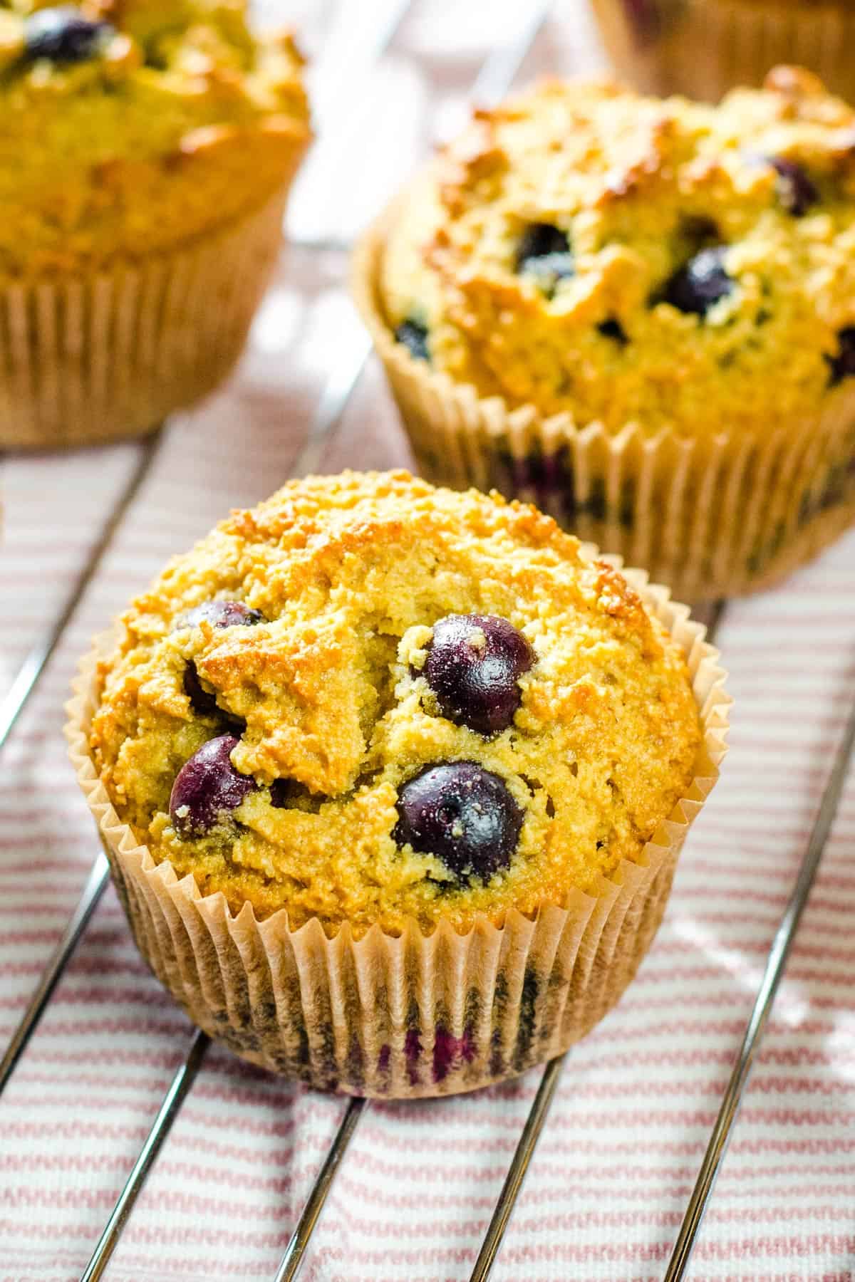 Blueberry muffins on baking rack