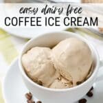 Easy dairy free ice cream