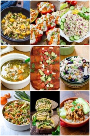 20 Easy And Healthy Shredded Chicken Recipes - Cook Eat Well