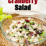 Turkey cranberry salad with leftover Thanksgiving turkey!